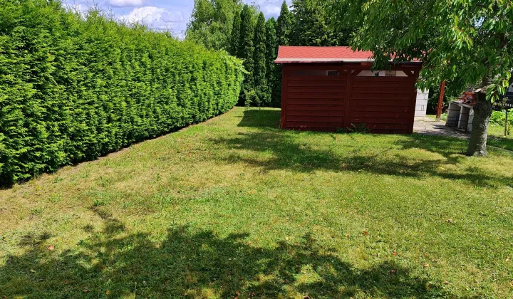 Działka rod Sulechów, ul. Łochowska