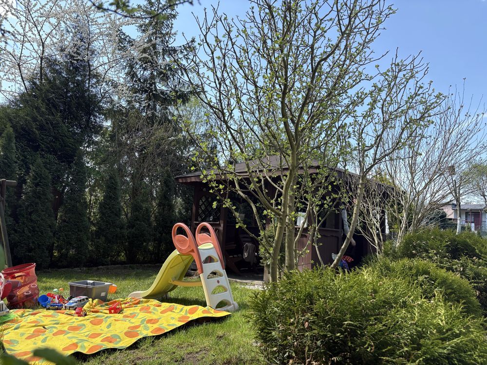 Działka rod Jastrzębie-Zdrój. Zdjęcie 3