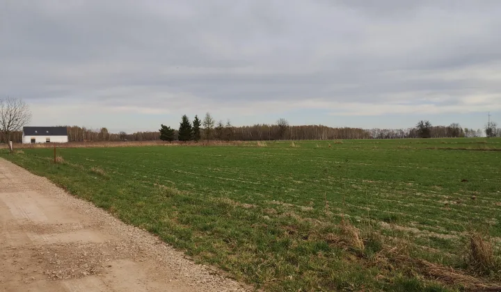 Działka budowlana Leśne Odpadki, ul. Jagodowa