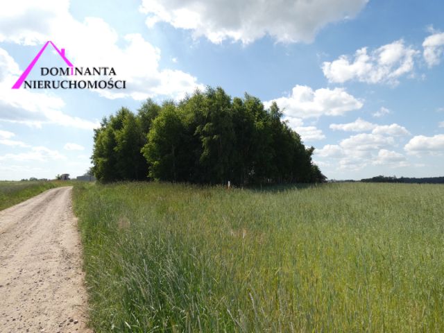 Działka budowlana Małkowo, ul. Malinowa. Zdjęcie 14