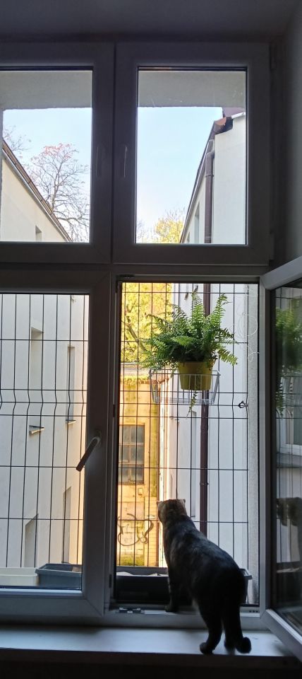 Mieszkanie 3-pokojowe Bytom Śródmieście, ul. Dworcowa. Zdjęcie 21