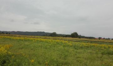 Działka rolno-budowlana Chorowice