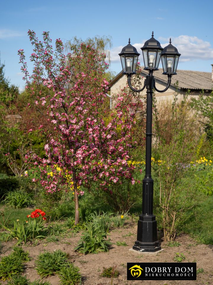 dom wolnostojący, 6 pokoi Hornowo. Zdjęcie 24