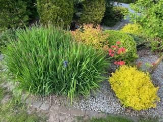 dom wolnostojący, 4 pokoje Bielsko-Biała Lipnik, Władysława Kiernika. Zdjęcie 232