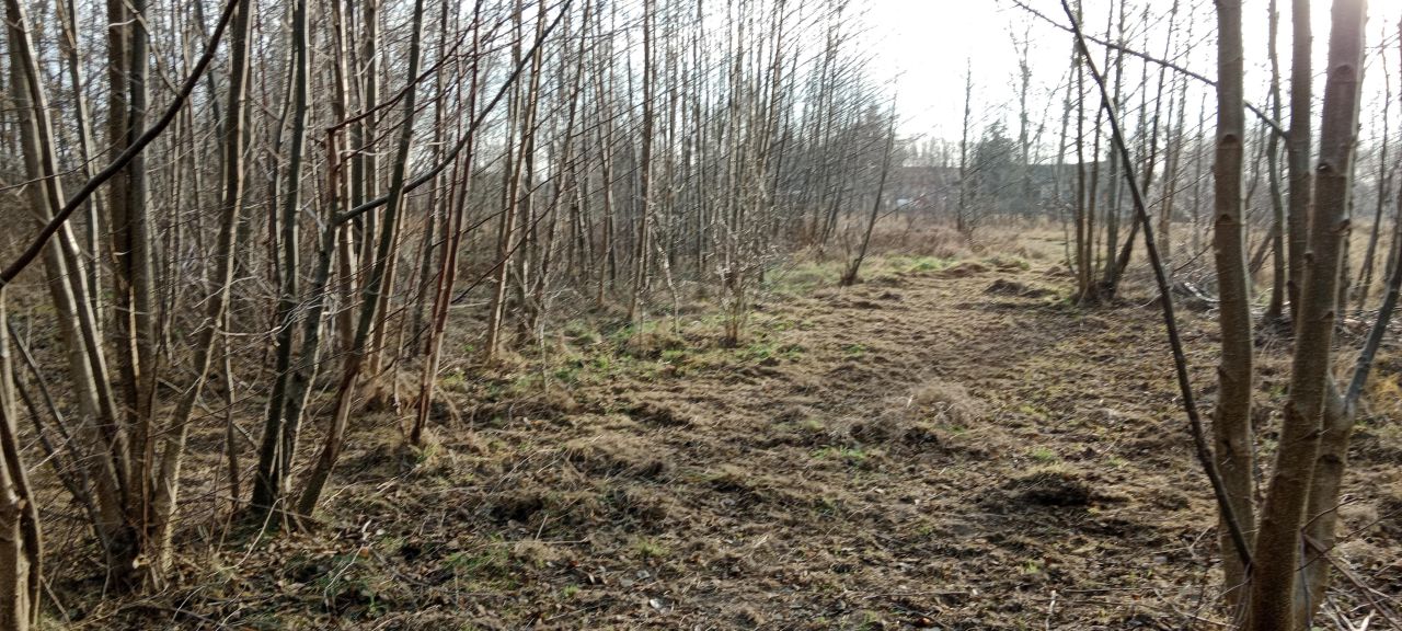 Działka budowlana Basin Zabrody, Wierzbowa. Zdjęcie 1