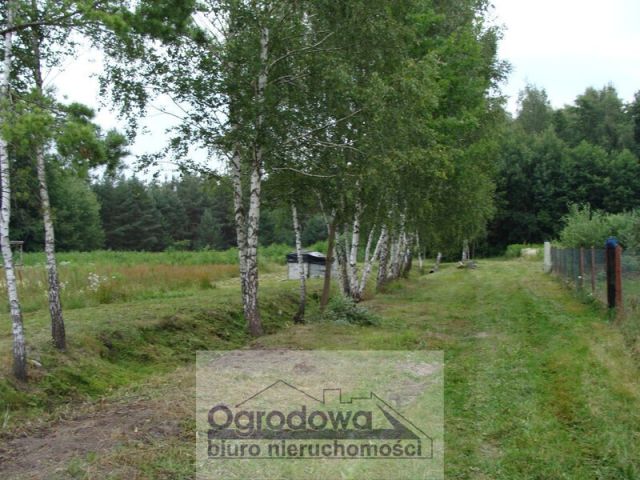 Działka budowlana Nowy Prażmów. Zdjęcie 1