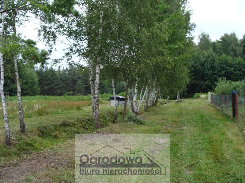 Działka budowlana Nowy Prażmów. Zdjęcie 1