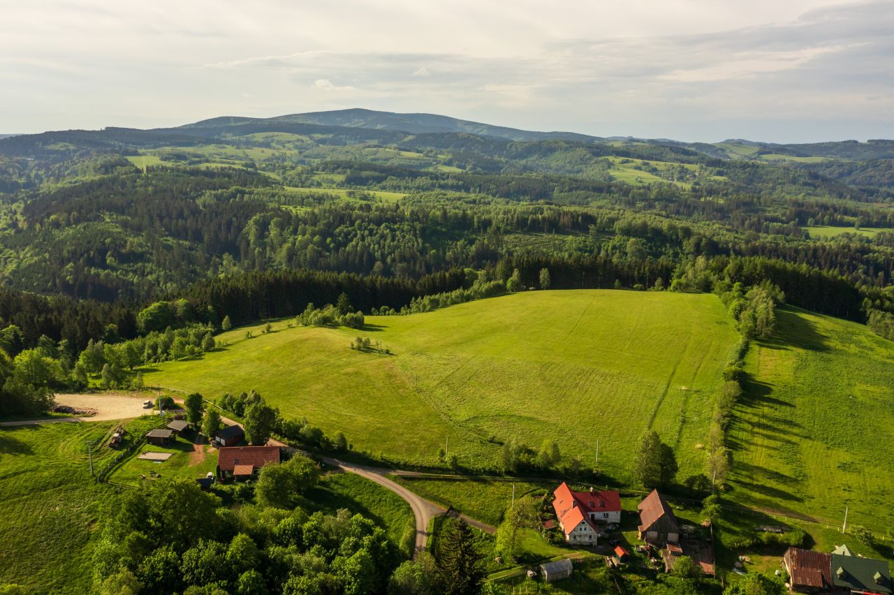 Działka budowlana Leśna. Zdjęcie 3