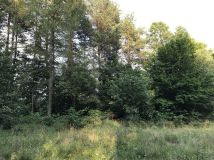 Działka rekreacyjna Rusocice. Zdjęcie 2