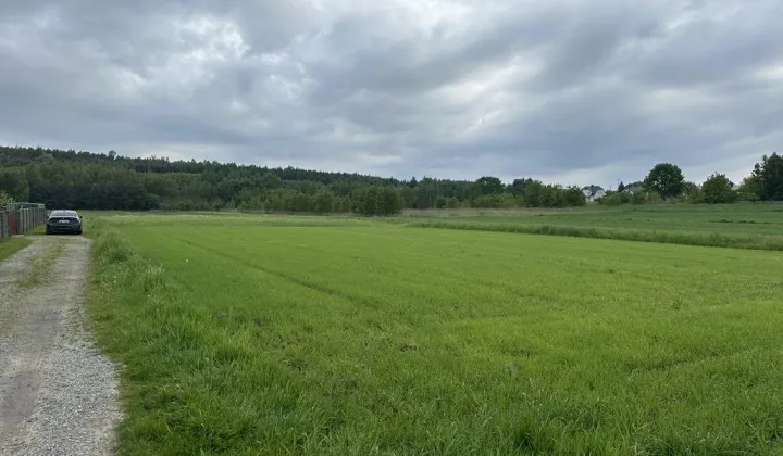 Działka budowlana Przecieszyn, ul. Zawiszy Czarnego