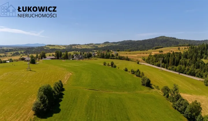 Działka leśna Pieniążkowice