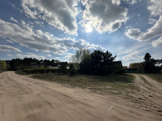 Działka rolna Lisi Ogon. Zdjęcie 3