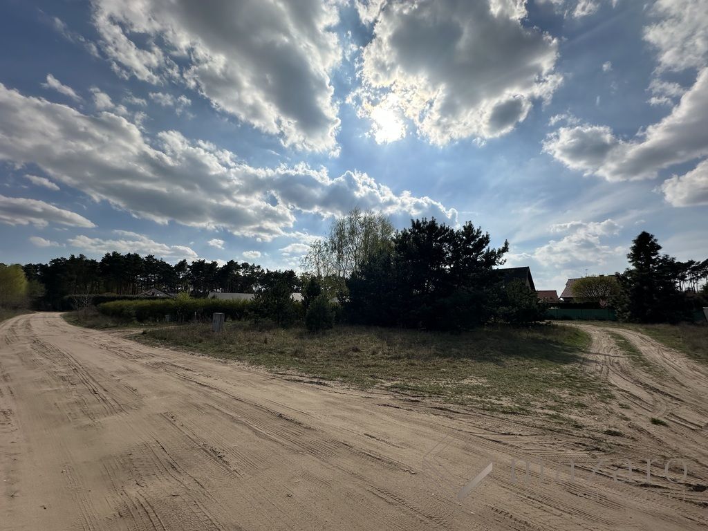 Działka rolna Lisi Ogon. Zdjęcie 3