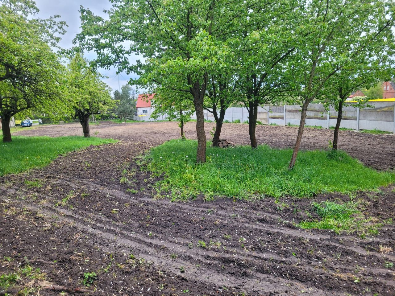 Działka budowlana Brzyskorzystew, Brzyskorzystew. Zdjęcie 5