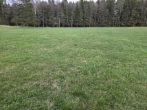 Działka rolna Skieblewo. Zdjęcie 2