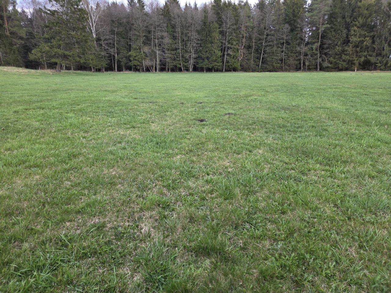 Działka rolna Skieblewo. Zdjęcie 3