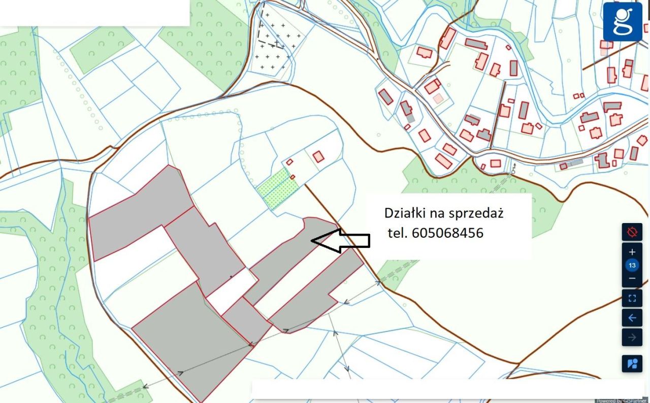 Działka rolna Dębna. Zdjęcie 1