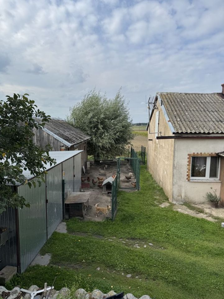 gospodarstwo Radomin. Zdjęcie 4