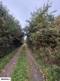 Działka budowlana Bechcice-Wieś. Zdjęcie 1