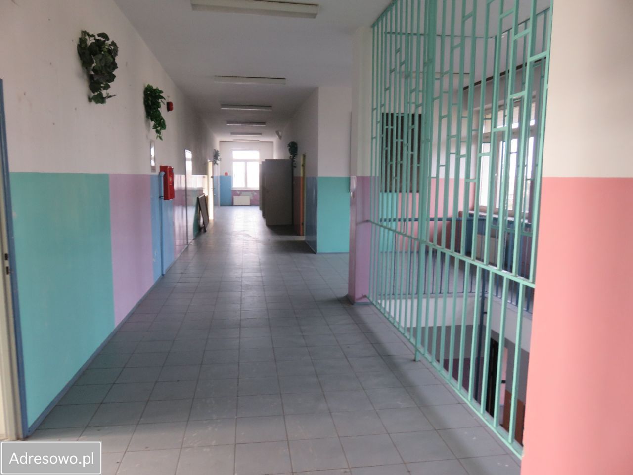 Lokal Paprotnia. Zdjęcie 16