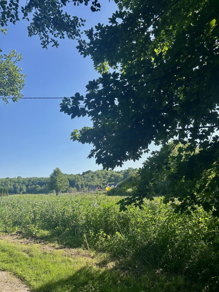 Działka rolna Giebułtów Podwikle, ul. Olszynowa. Zdjęcie 2