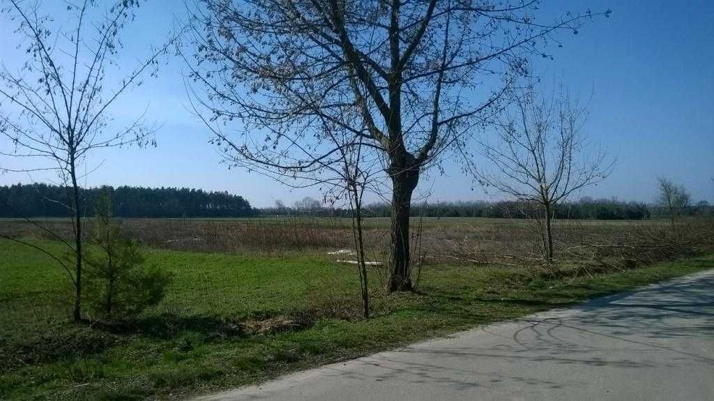 Działka inwestycyjna Sławczyn. Zdjęcie 3