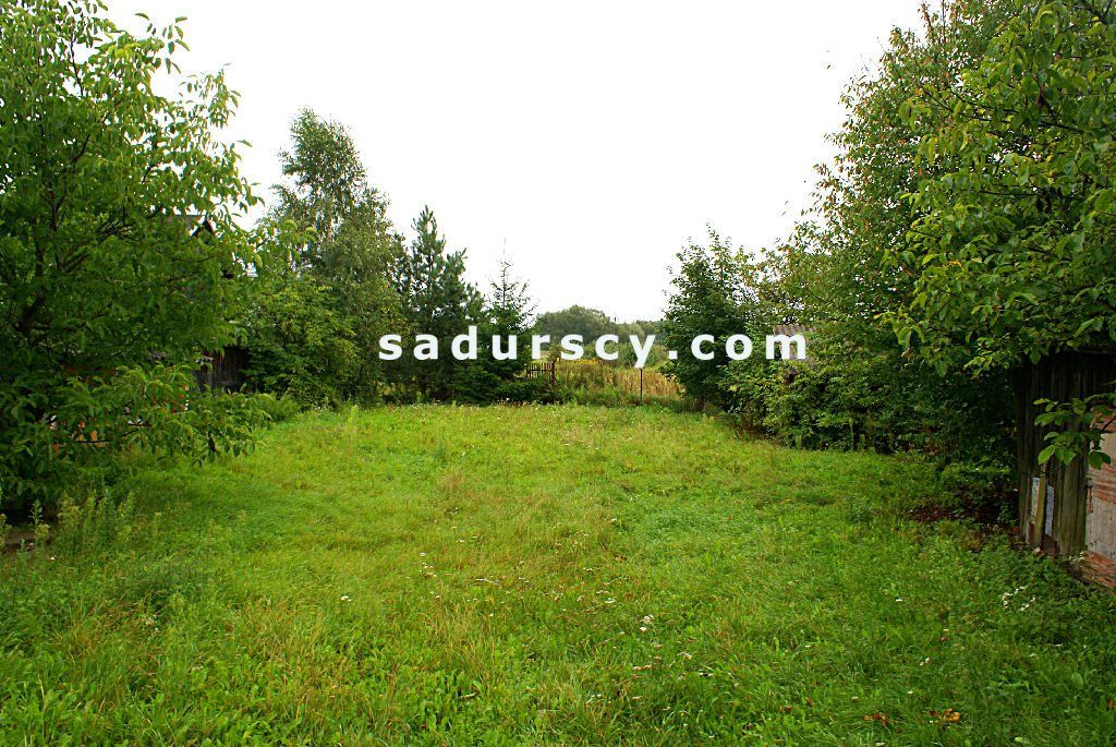 dom wolnostojący, 4 pokoje Niedźwiada Duża. Zdjęcie 4