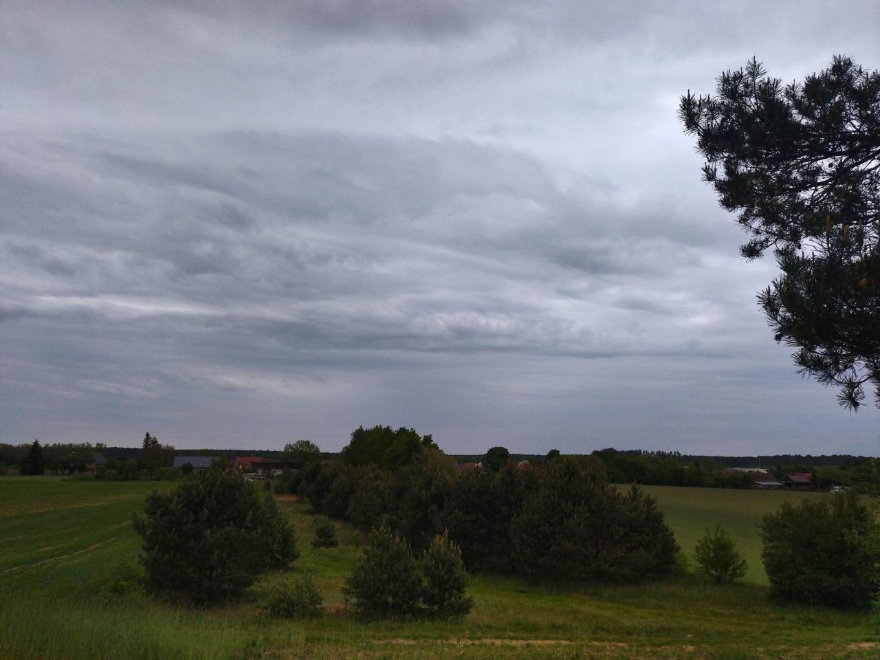 Działka budowlana Świerczyna. Zdjęcie 8