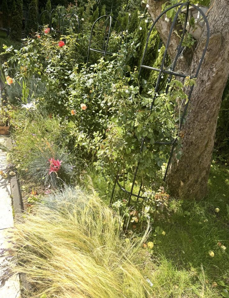 dom wolnostojący, 7 pokoi Krzeszowice. Zdjęcie 48