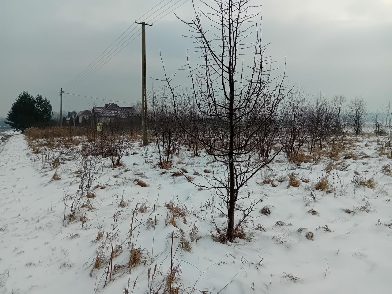 Działka budowlana Pisarzowice. Zdjęcie 3