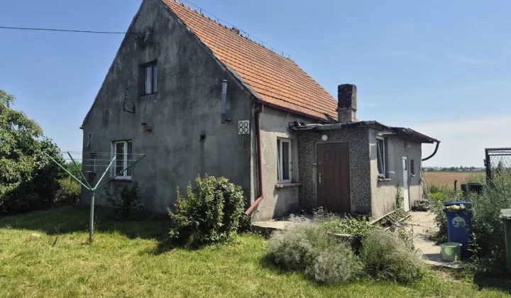 dom wolnostojący Trzebcz Szlachecki