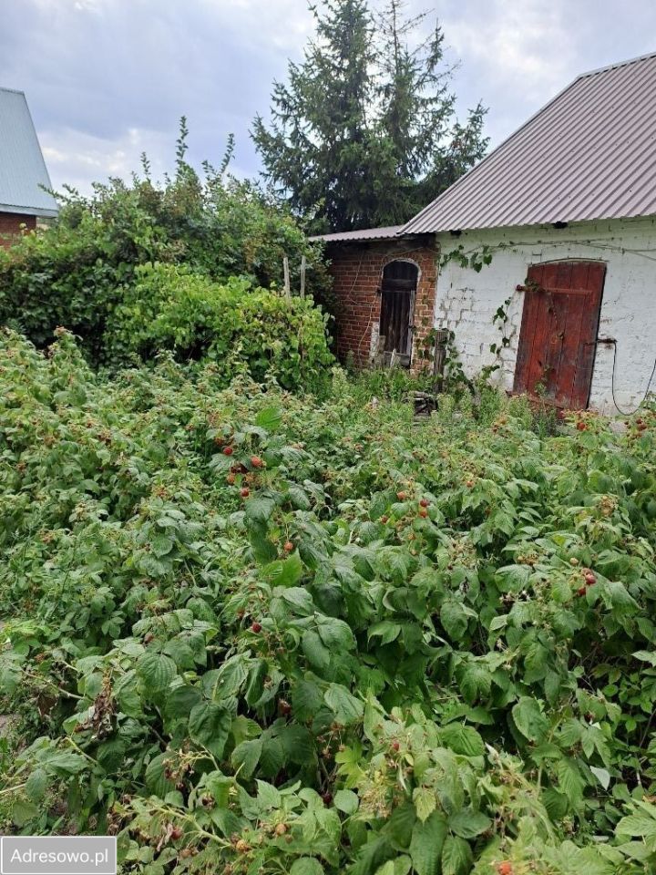 gospodarstwo, 4 pokoje Tarkawica. Zdjęcie 13