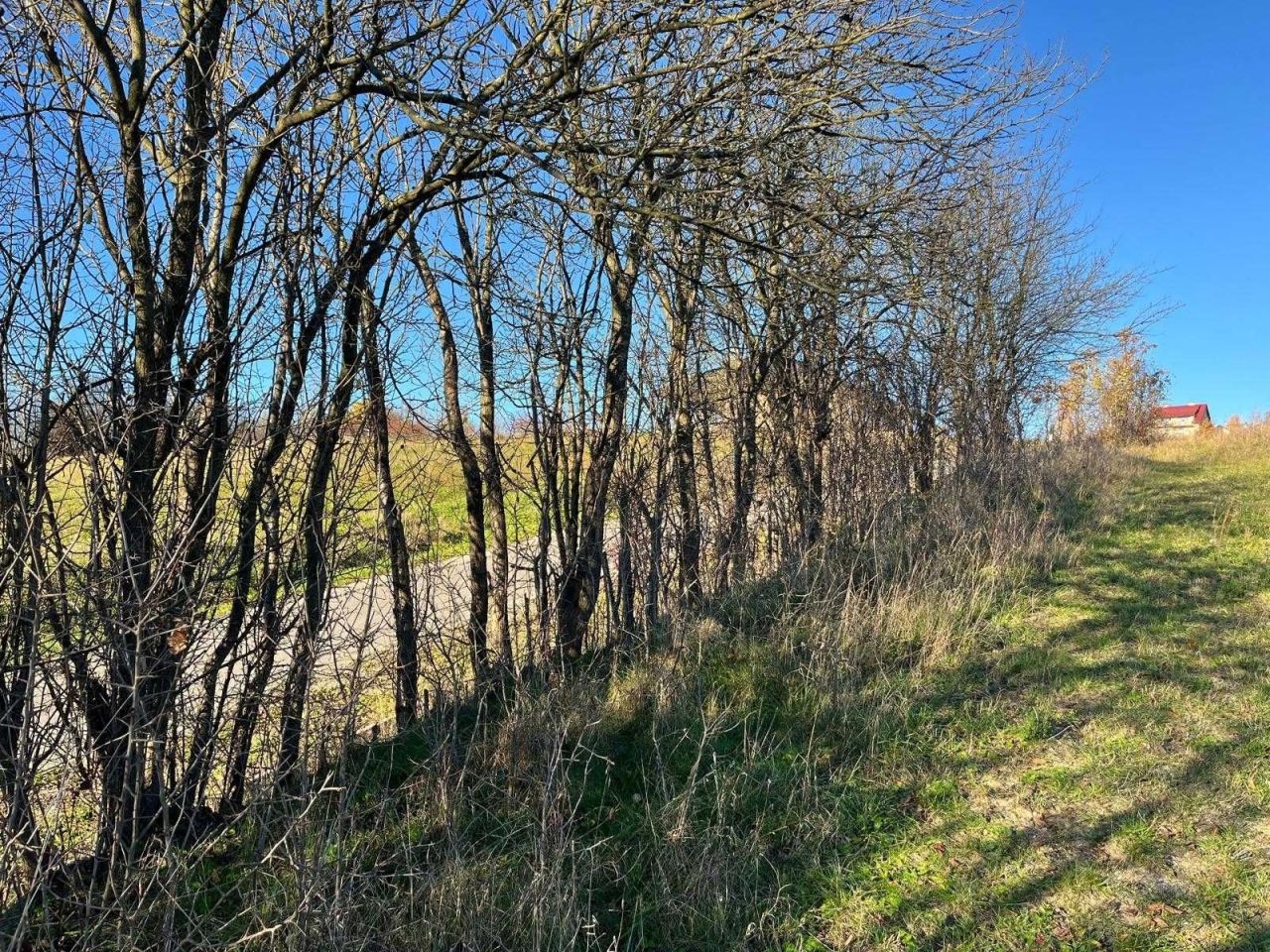 Działka budowlana Rzepiennik Biskupi. Zdjęcie 6