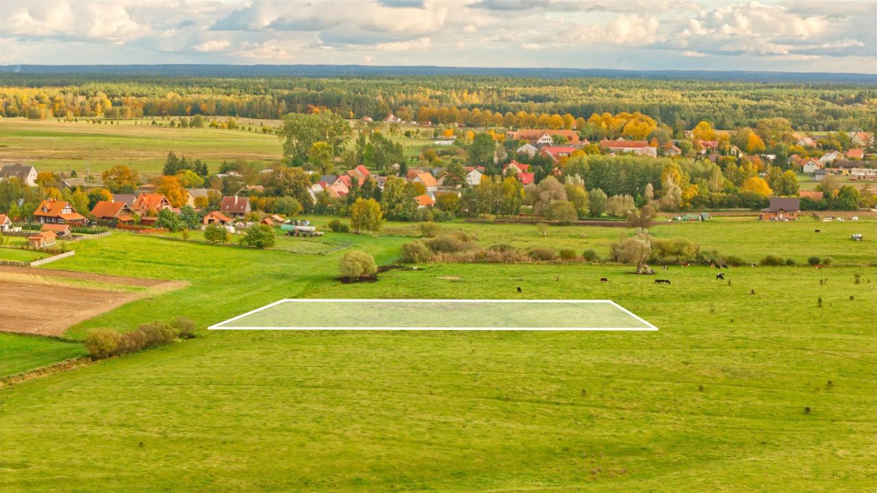 Działka rolna Zdory. Zdjęcie 8
