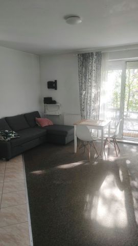 Mieszkanie 1-pokojowe Poznań Górczyn, ul. Jakuba Krauthofera. Zdjęcie 1