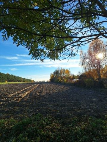 Działka rolno-budowlana Borki Lipkowskie. Zdjęcie 1