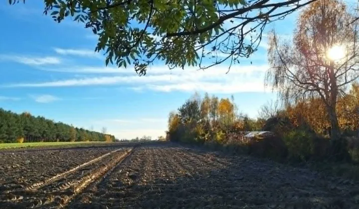 Działka rolno-budowlana Borki Lipkowskie
