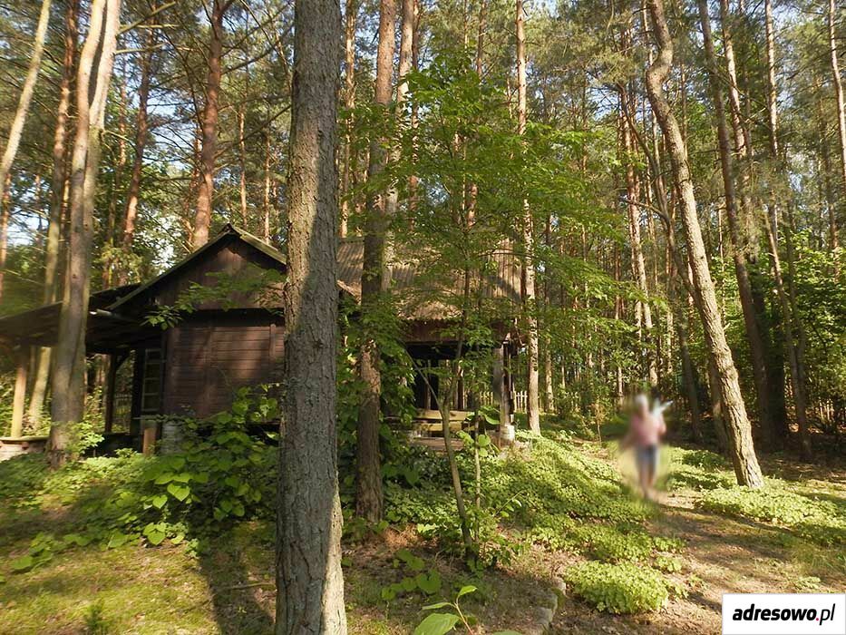 Działka leśna Arciechów. Zdjęcie 2