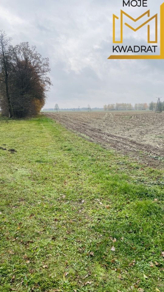 dom wolnostojący, 4 pokoje Drużbice-Kolonia. Zdjęcie 10