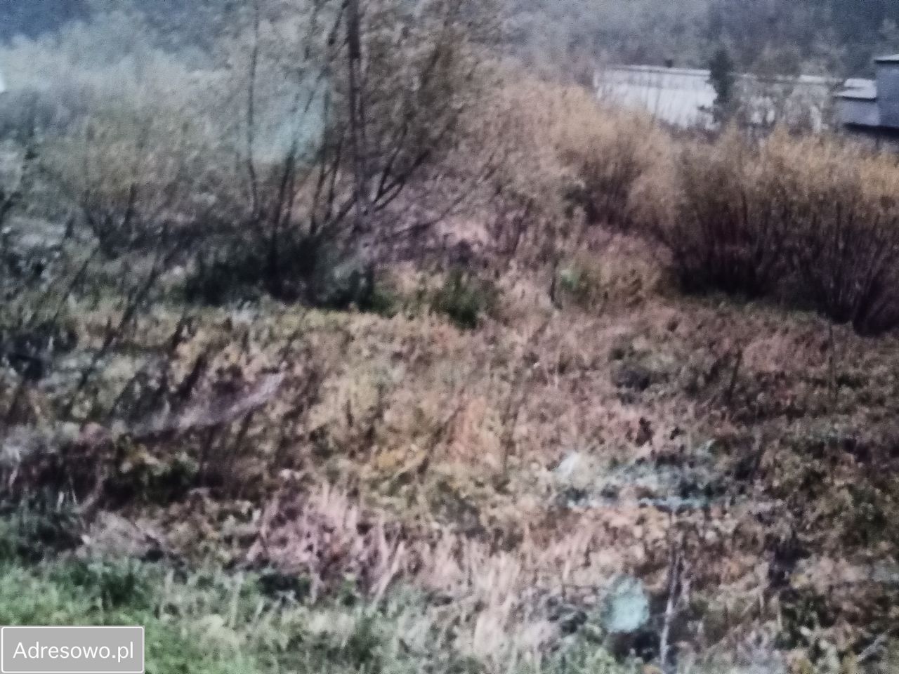 Działka inwestycyjna Korzenna. Zdjęcie 9