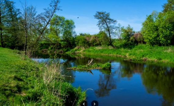 Działka budowlana Błędowo. Zdjęcie 1