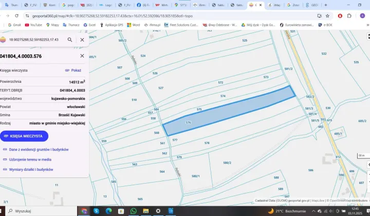 Działka rolna Brześć Kujawski
