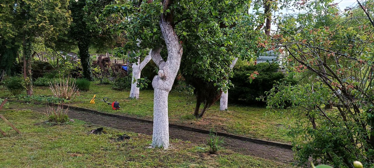 Działka rod Zielona Góra Centrum, ul. Działkowa. Zdjęcie 1