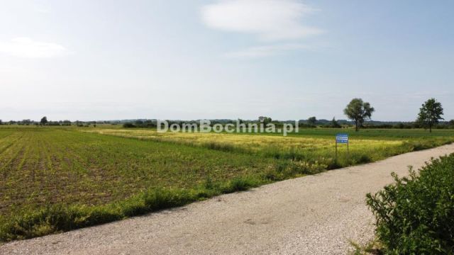 Działka budowlana Strzelce Wielkie. Zdjęcie 1