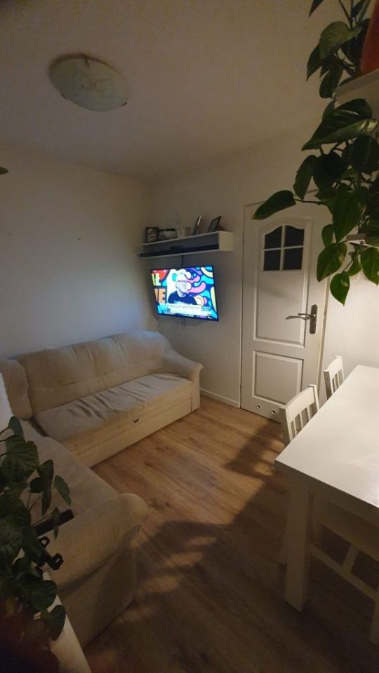 Mieszkanie 1-pokojowe Poznań Dębiec, ul. Łozowa