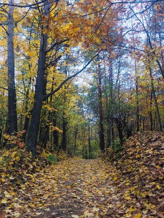 Działka budowlana Brajniki. Zdjęcie 6