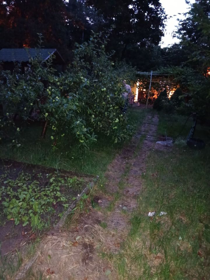 Działka rod Zielona Góra. Zdjęcie 3