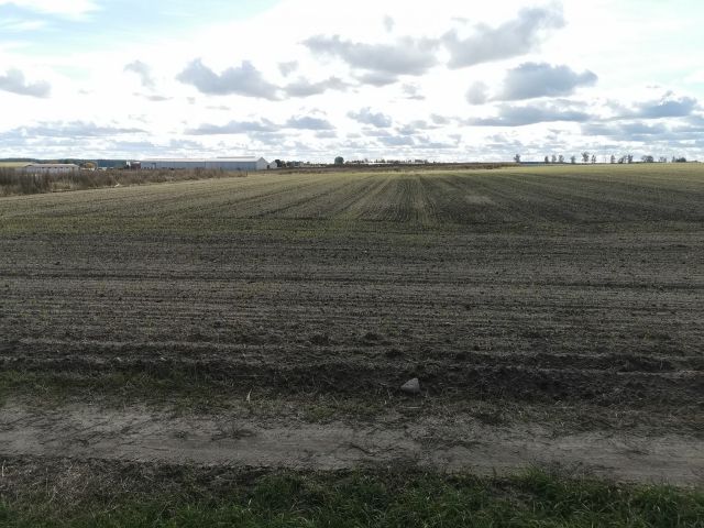 Działka inwestycyjna Blękwit. Zdjęcie 14