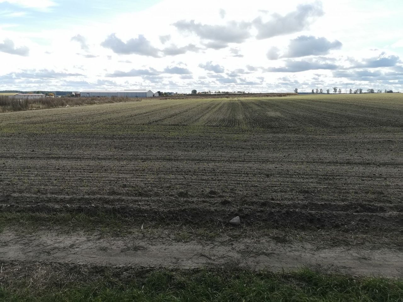 Działka inwestycyjna Blękwit. Zdjęcie 14