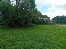 Działka rolna Strzygi. Zdjęcie 3